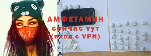 индика Белокуриха