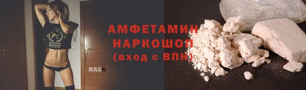 индика Белокуриха