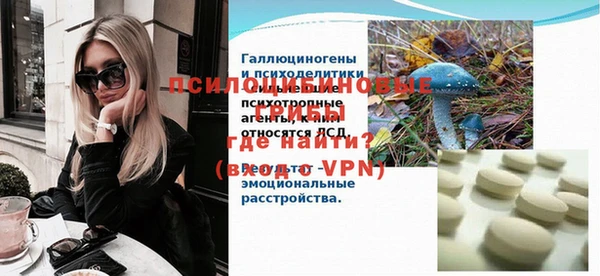 индика Белокуриха