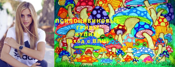 Альфа ПВП Беломорск