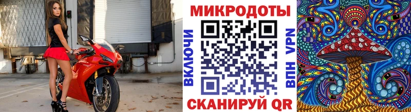 Галлюциногенные грибы Psilocybine cubensis  Бородино 